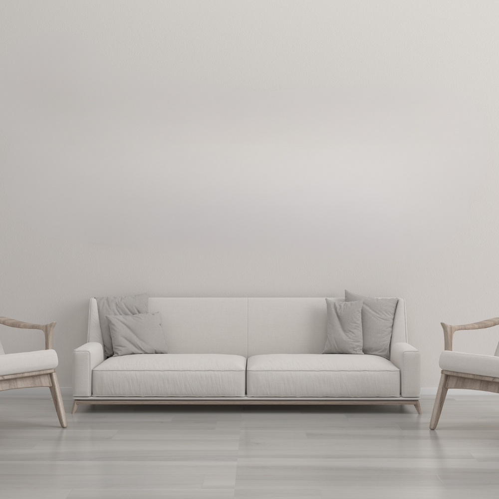 Aestheticanvas plain room example