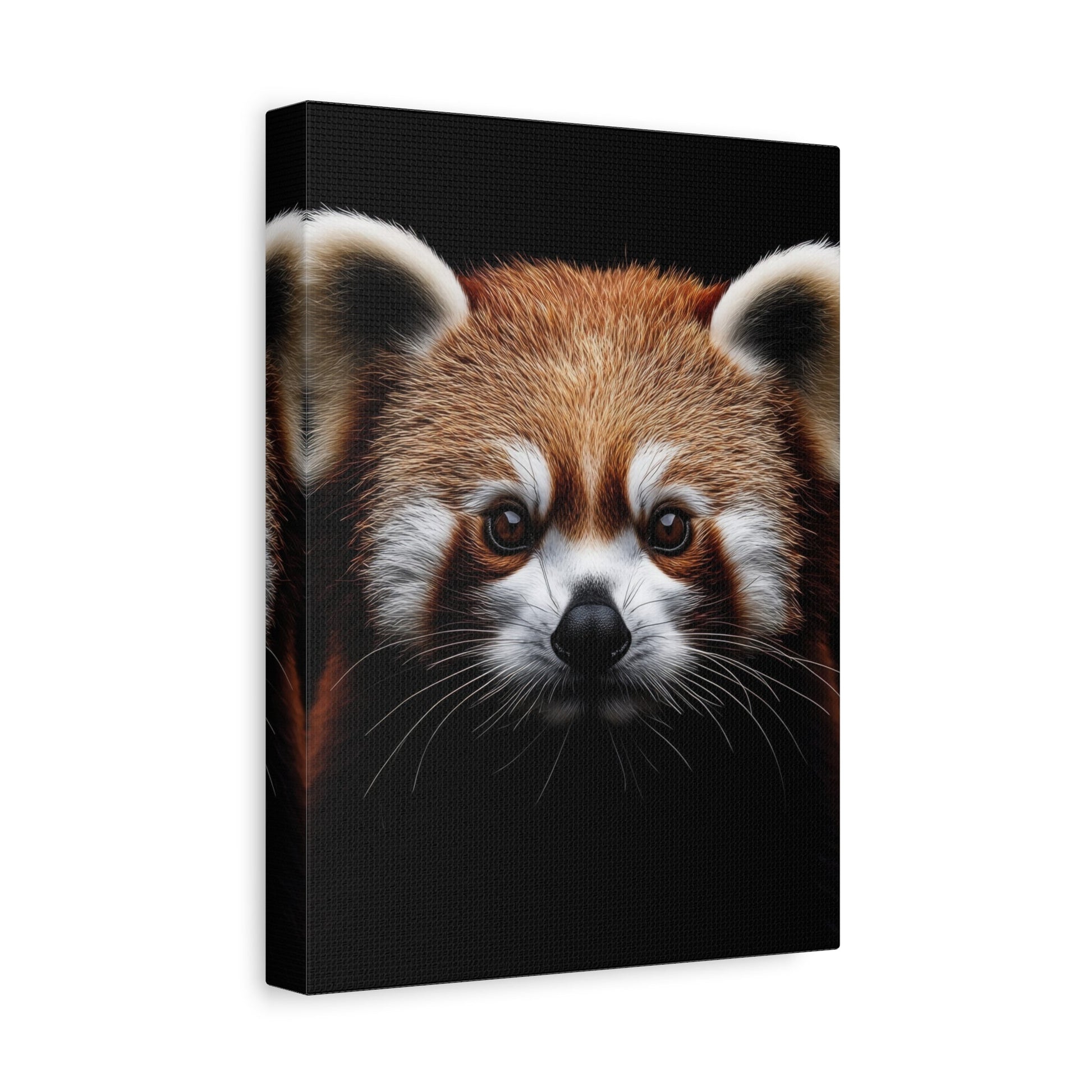 Adorable Red Panda - Wildlife Wall Art - Aestheticanvas