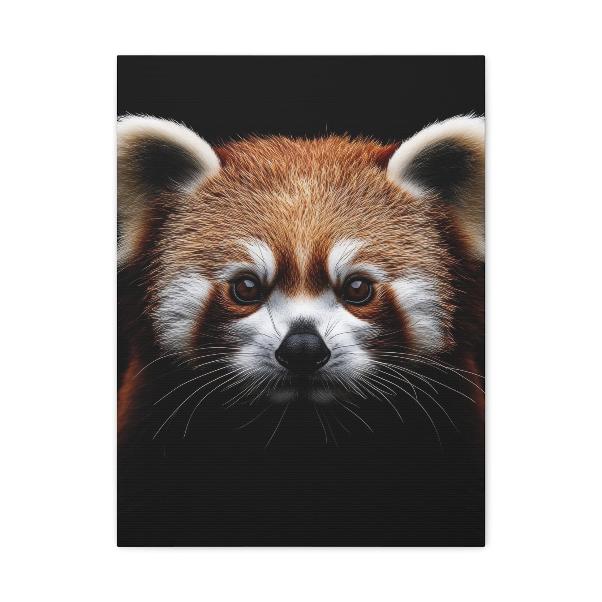 Adorable Red Panda - Wildlife Wall Art - Aestheticanvas