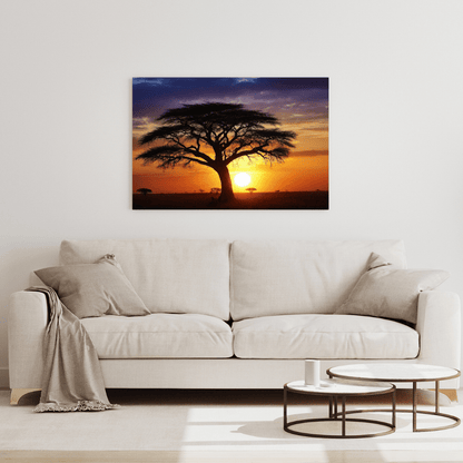 African Sunset Savanna Acacia - Landscape Canvas Print - Aestheticanvas