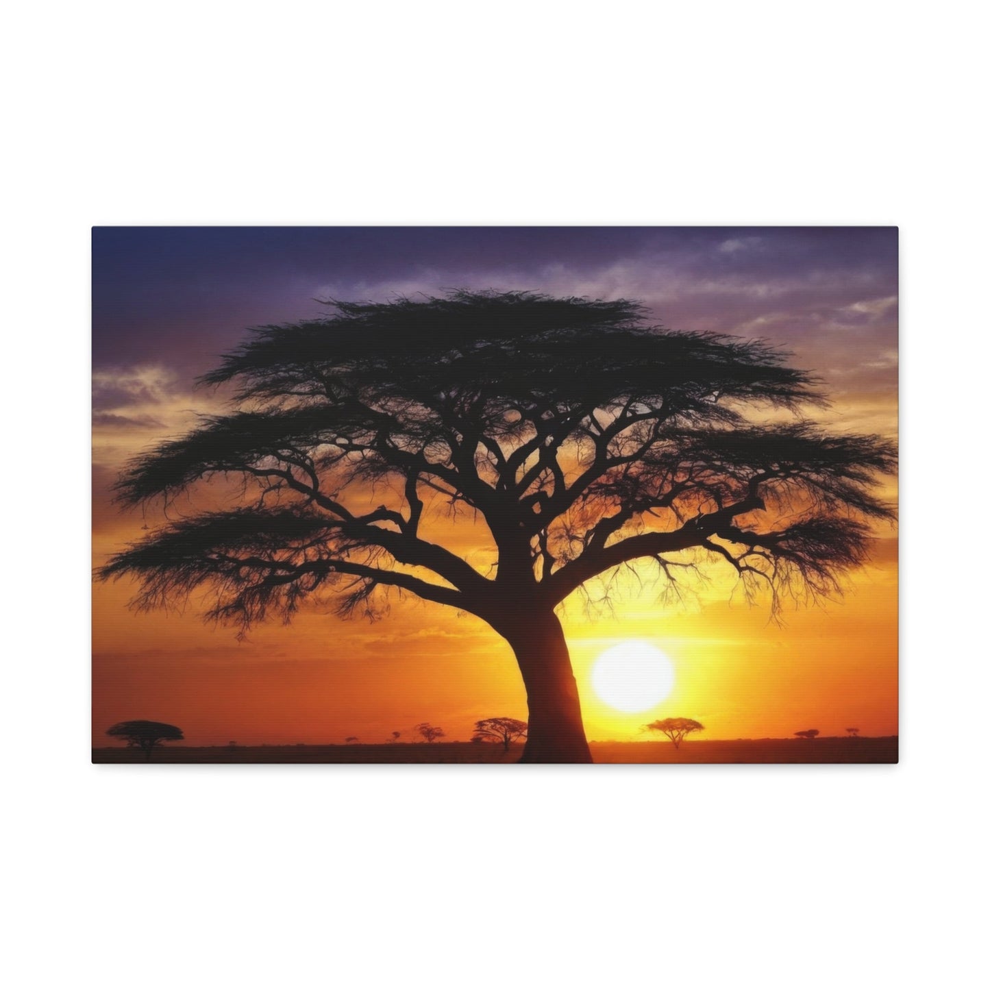 African Sunset Savanna Acacia - Landscape Canvas Print - Aestheticanvas