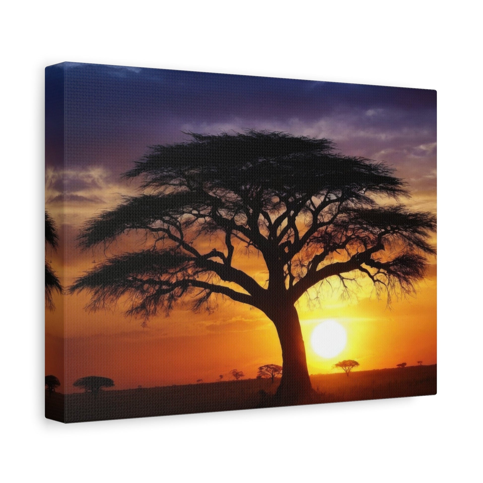 African Sunset Savanna Acacia - Landscape Canvas Print - Aestheticanvas