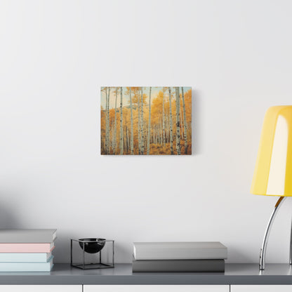 Birch Forest Serenity - Limited Canvas Print - Aestheticanvas