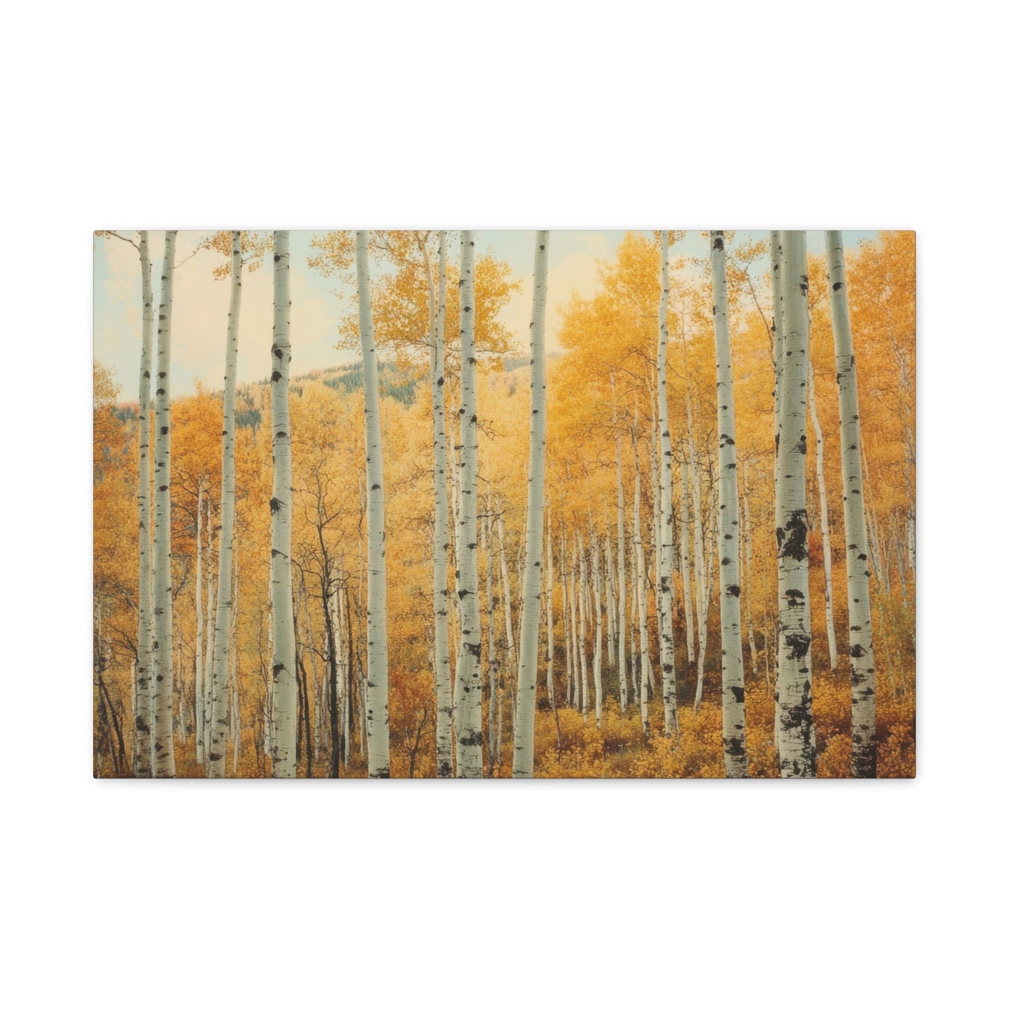 Birch Forest Serenity - Limited Canvas Print - Aestheticanvas