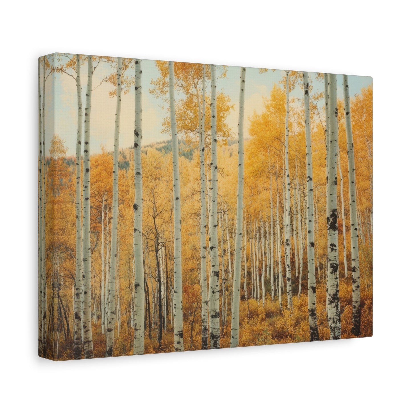 Birch Forest Serenity - Limited Canvas Print - Aestheticanvas