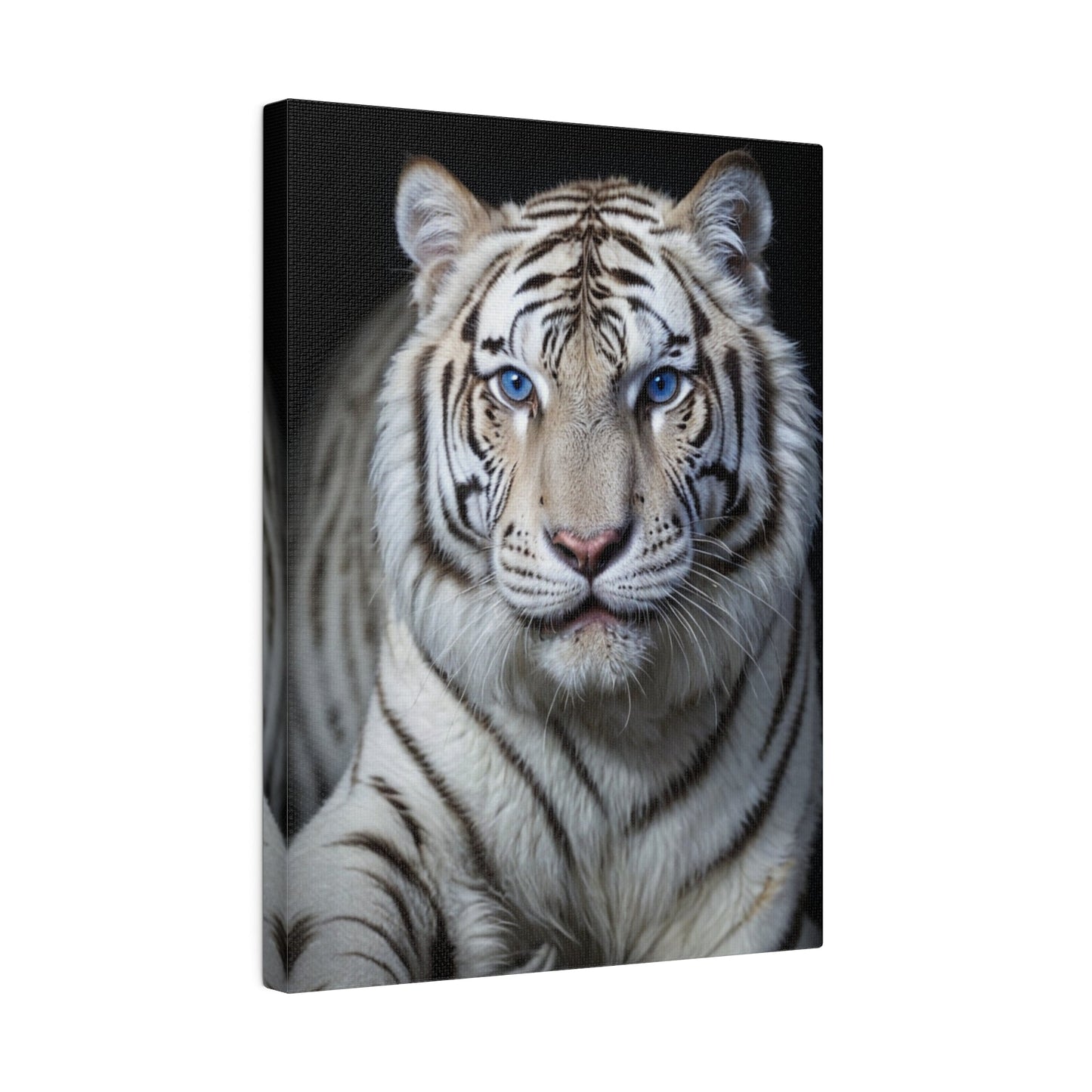 Blue Eyed White Tiger - Wall Art - Aestheticanvas