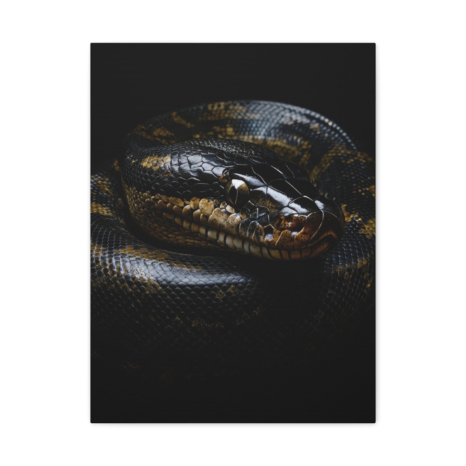 Coiled Majesty - Wildlife Wall Art - Aestheticanvas