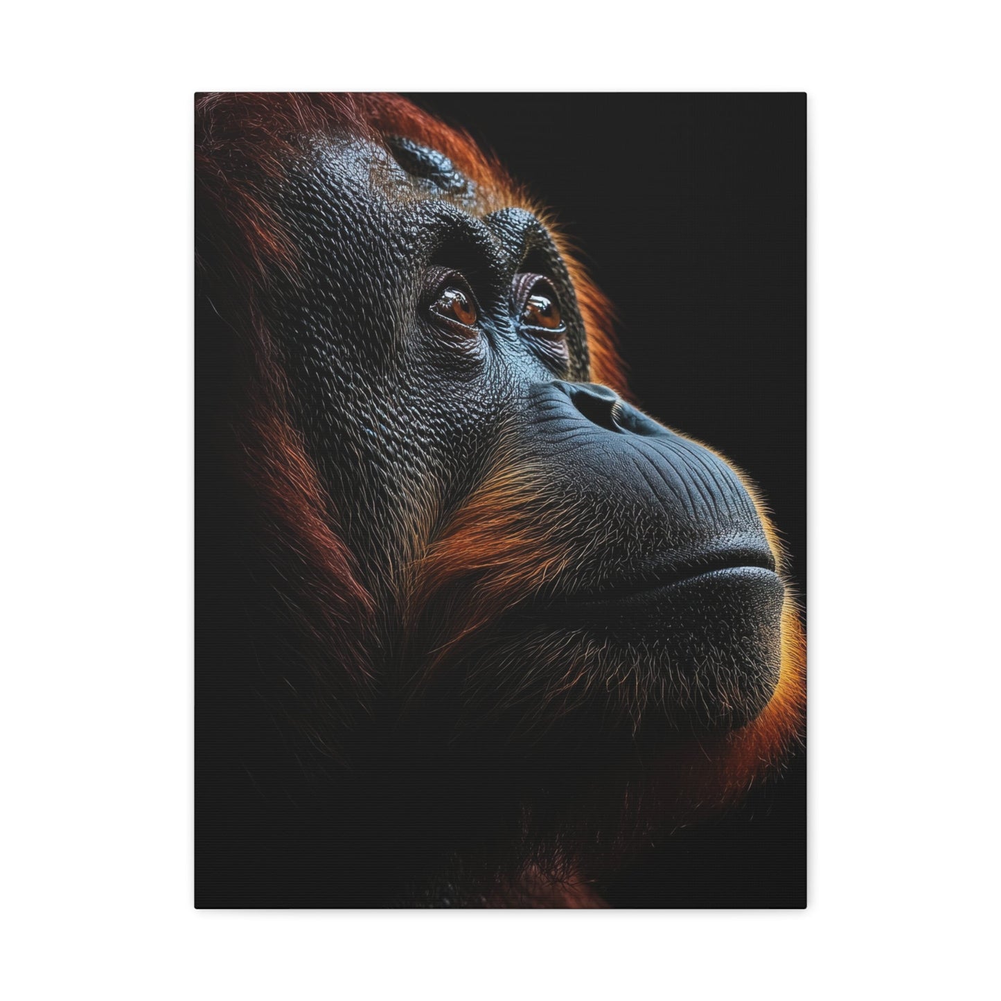 Contemplative Spirit - Wildlife Wall Art - Aestheticanvas