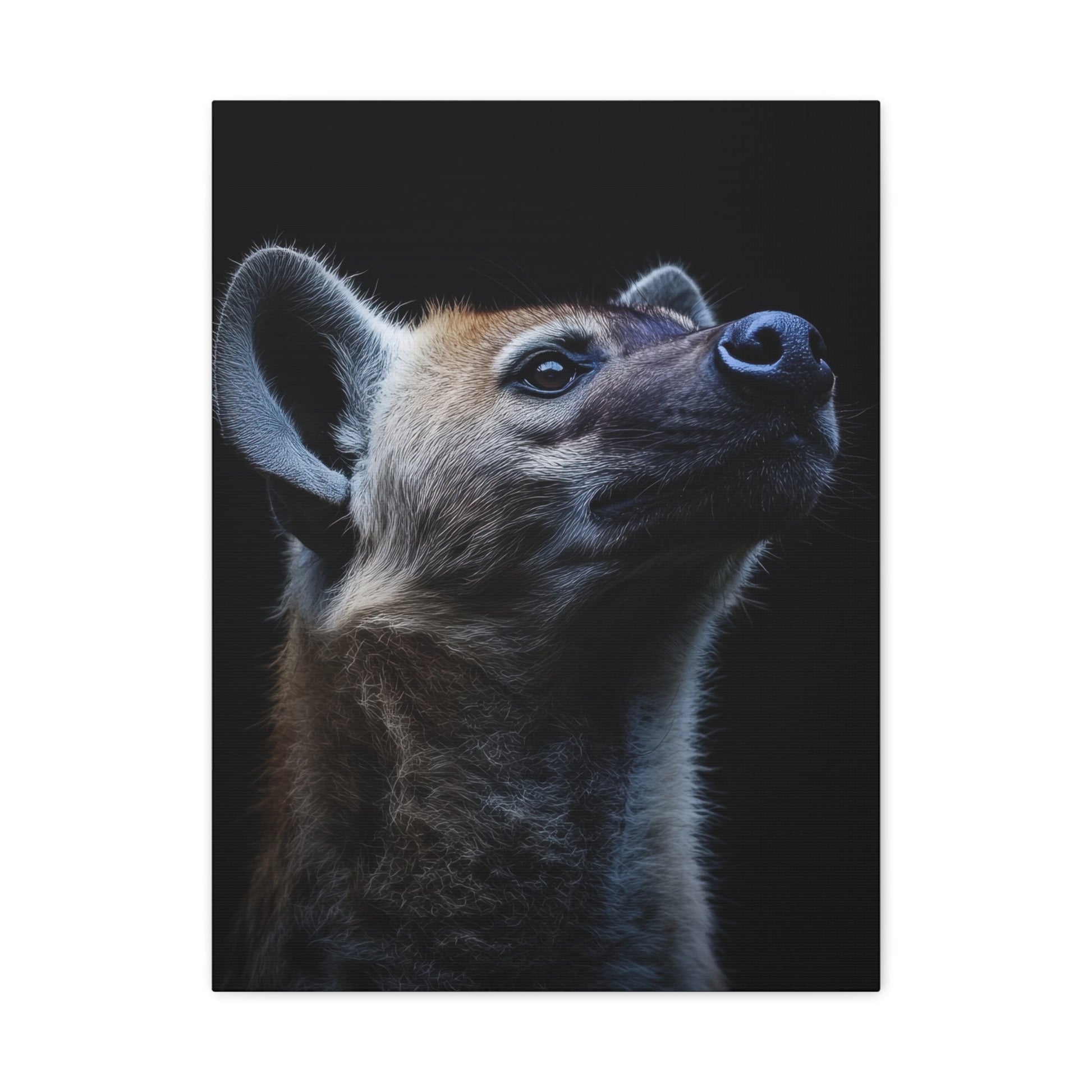 Curious Hyena - Wildlife Wall Art - Aestheticanvas