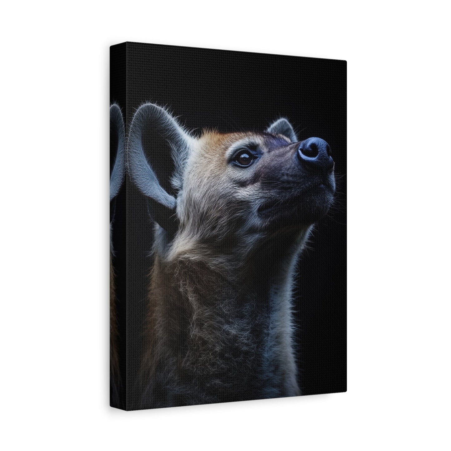 Curious Hyena - Wildlife Wall Art - Aestheticanvas