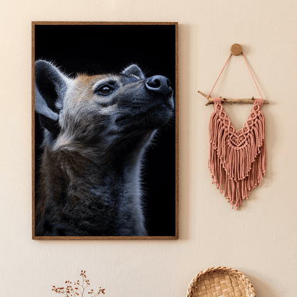 Curious Hyena - Wildlife Wall Art - Aestheticanvas