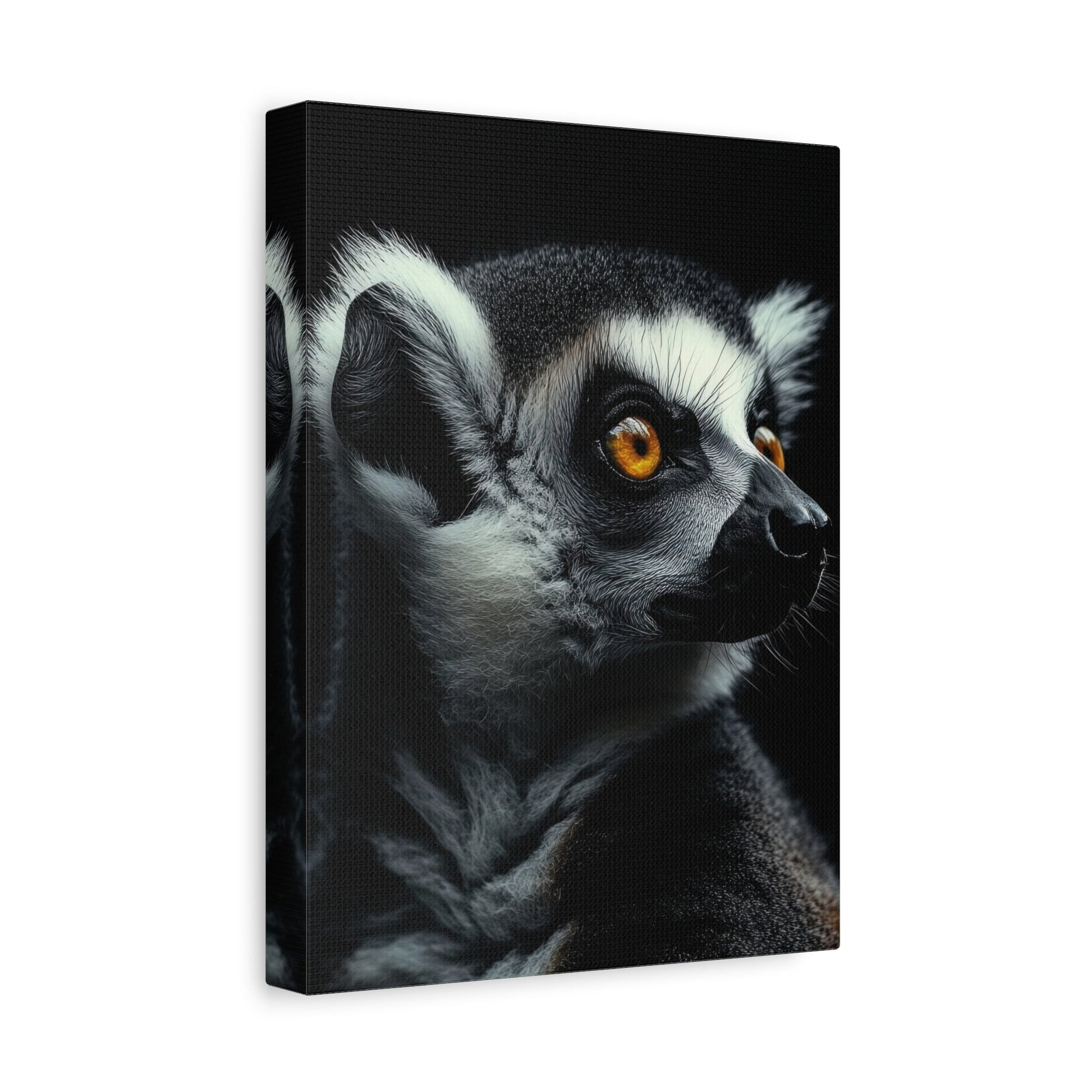 Enchanting Lemur Gaze - Wildlife Wall Art - Aestheticanvas