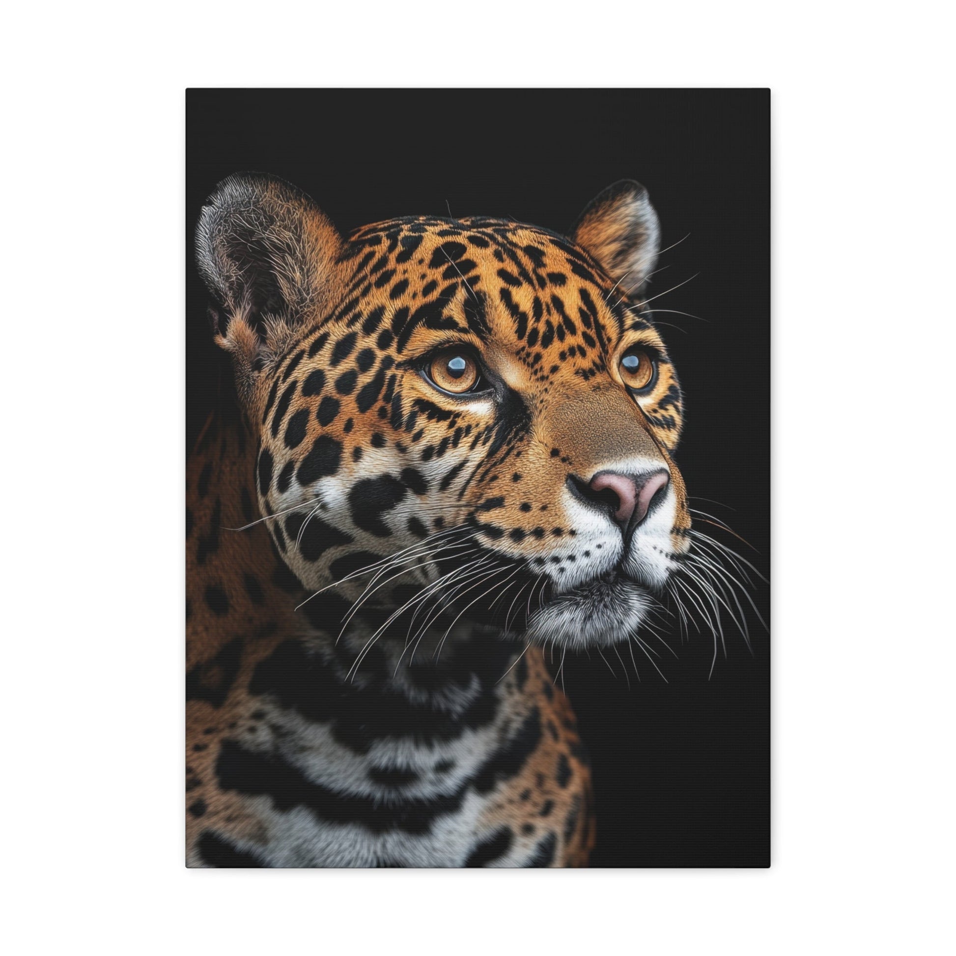 Fierce Jaguar Focus - Wildlife Wall Art - Aestheticanvas