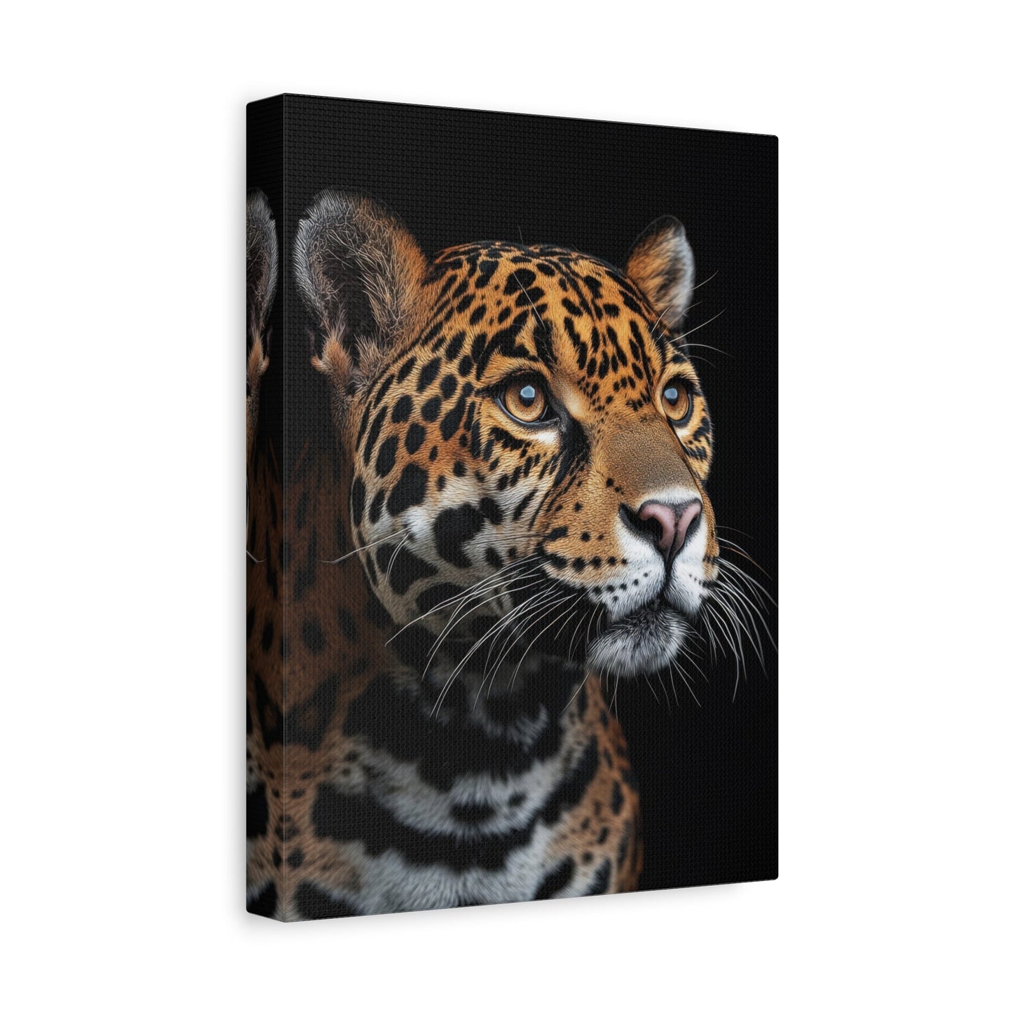 Fierce Jaguar Focus - Wildlife Wall Art - Aestheticanvas