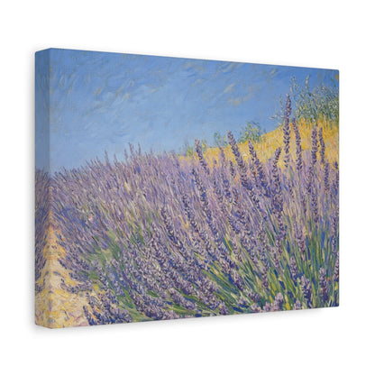 Lavender Bliss in Summer Breeze - Nature Wall Art - Aestheticanvas