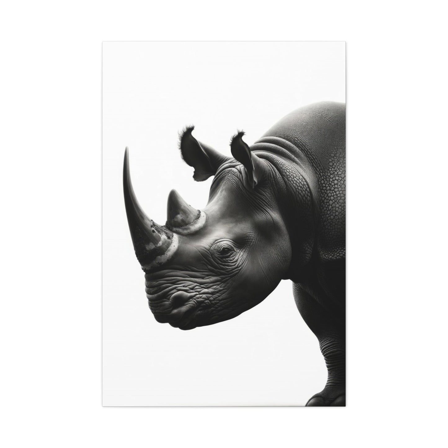 Majestic Black & White Rhino - Animal Wall Art - Aestheticanvas