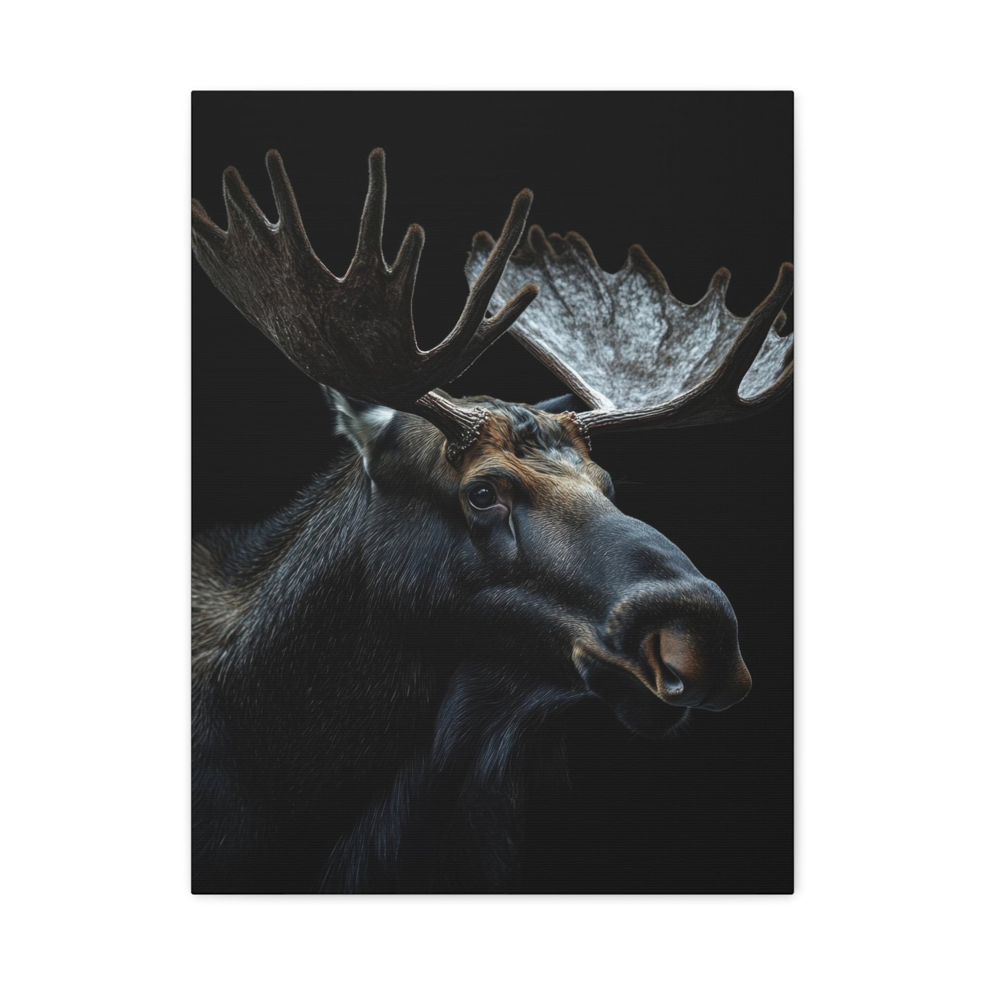 Majestic Moose - Wildlife Wall Art - Aestheticanvas