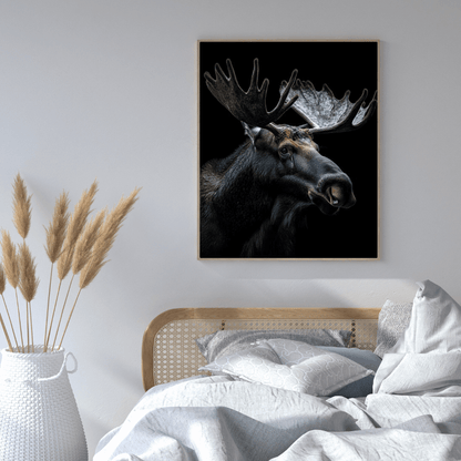 Majestic Moose - Wildlife Wall Art - Aestheticanvas