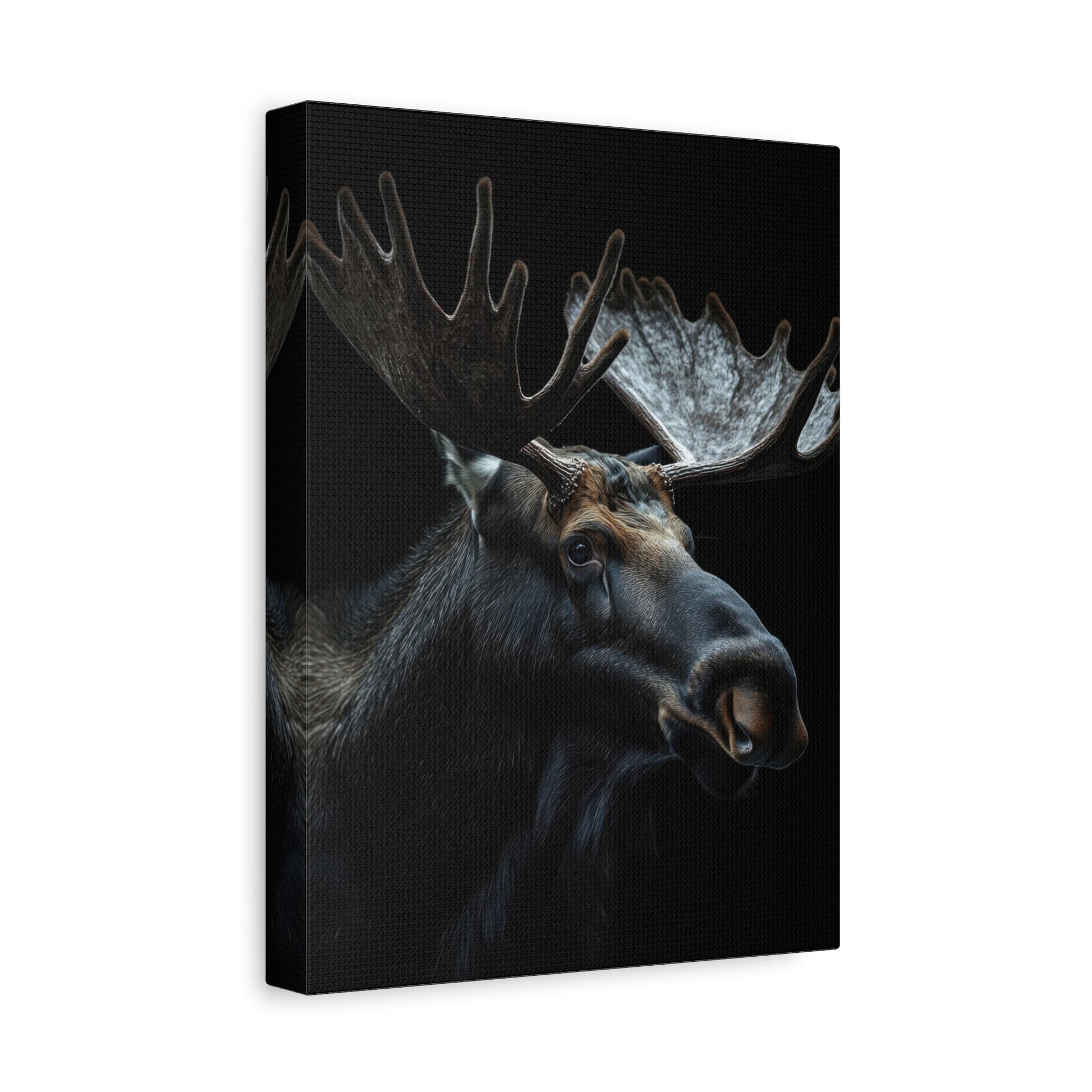 Majestic Moose - Wildlife Wall Art - Aestheticanvas