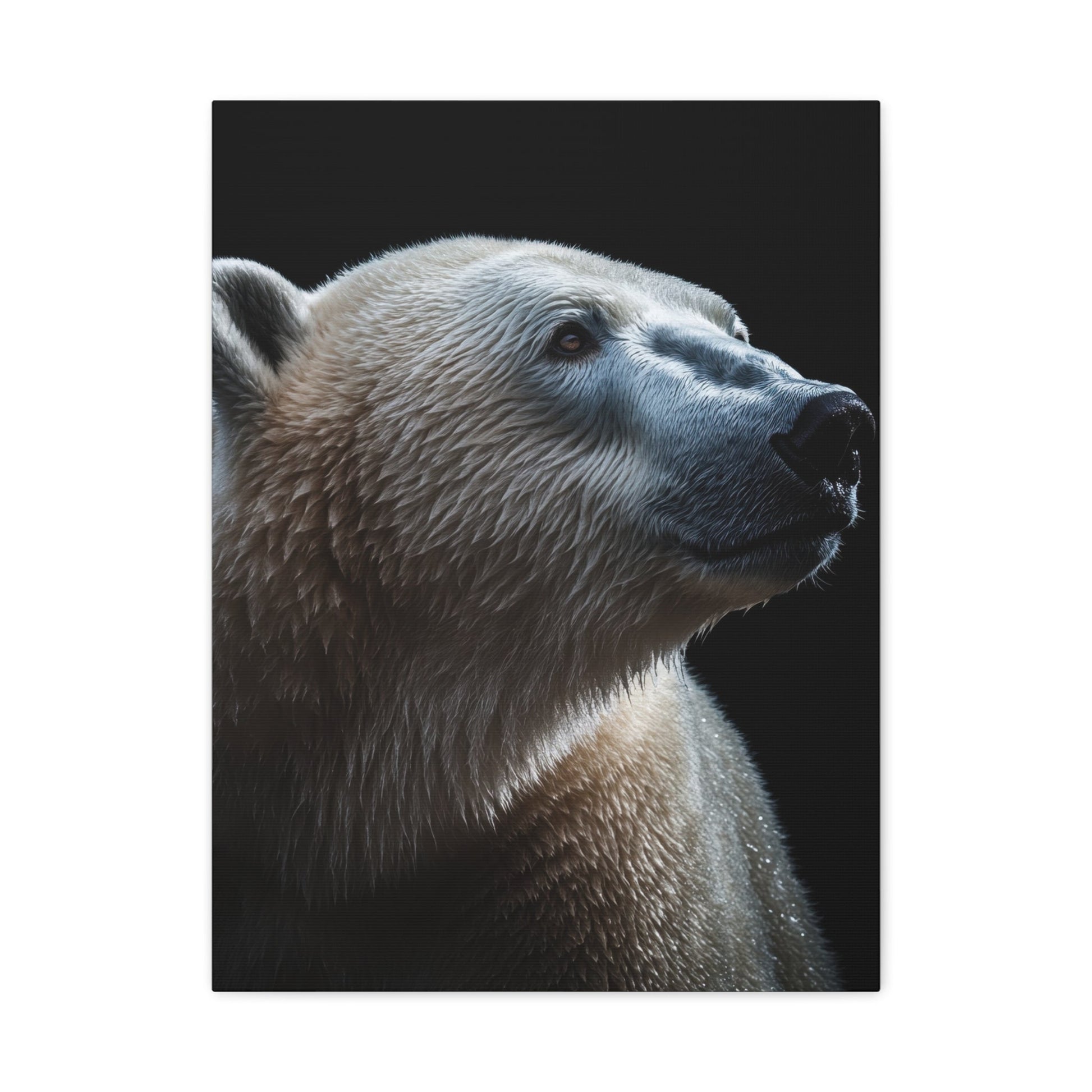 Majestic Polar Gaze - Wildlife Wall Art - Aestheticanvas