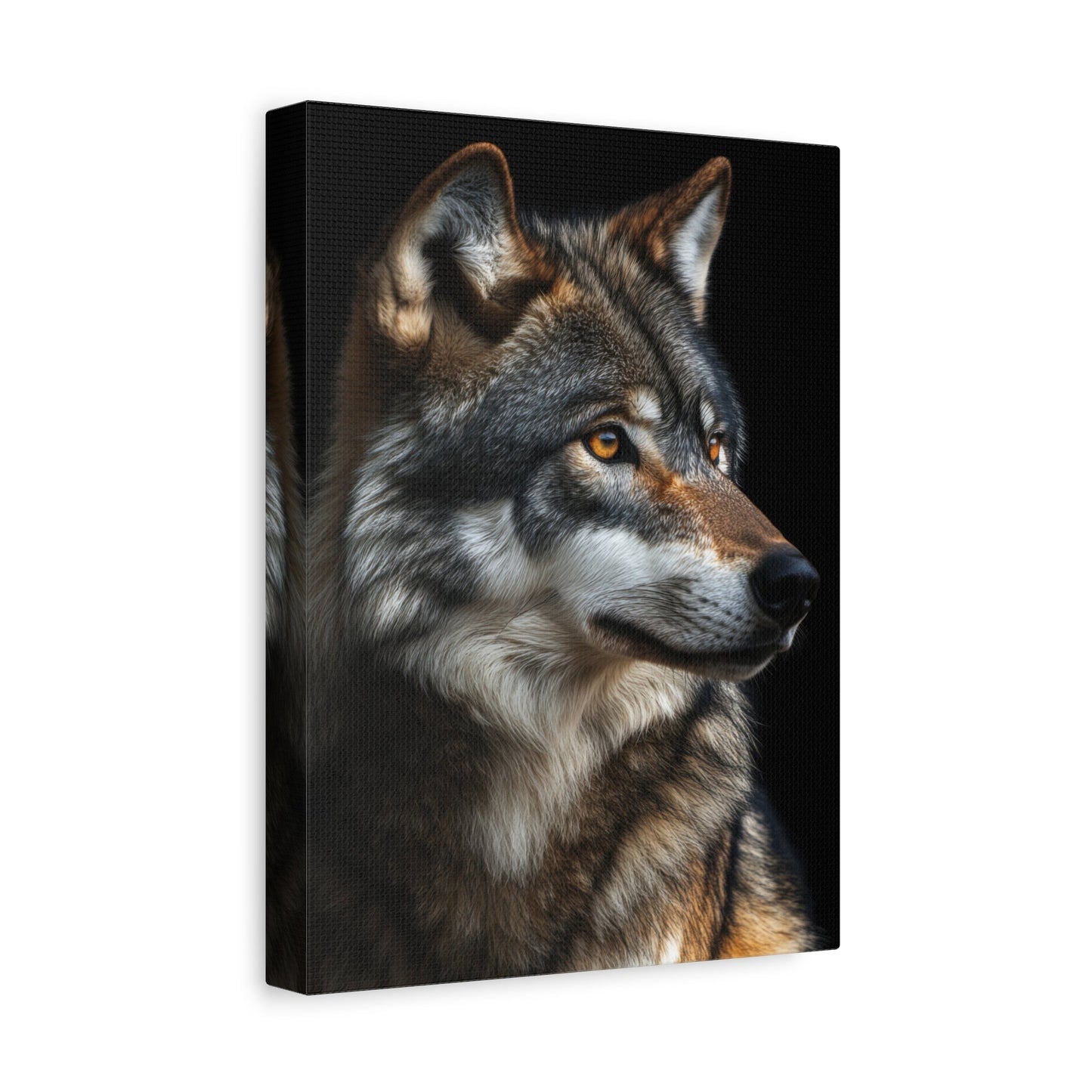 Noble Wolf Stare - Wildlife Wall Art - Aestheticanvas