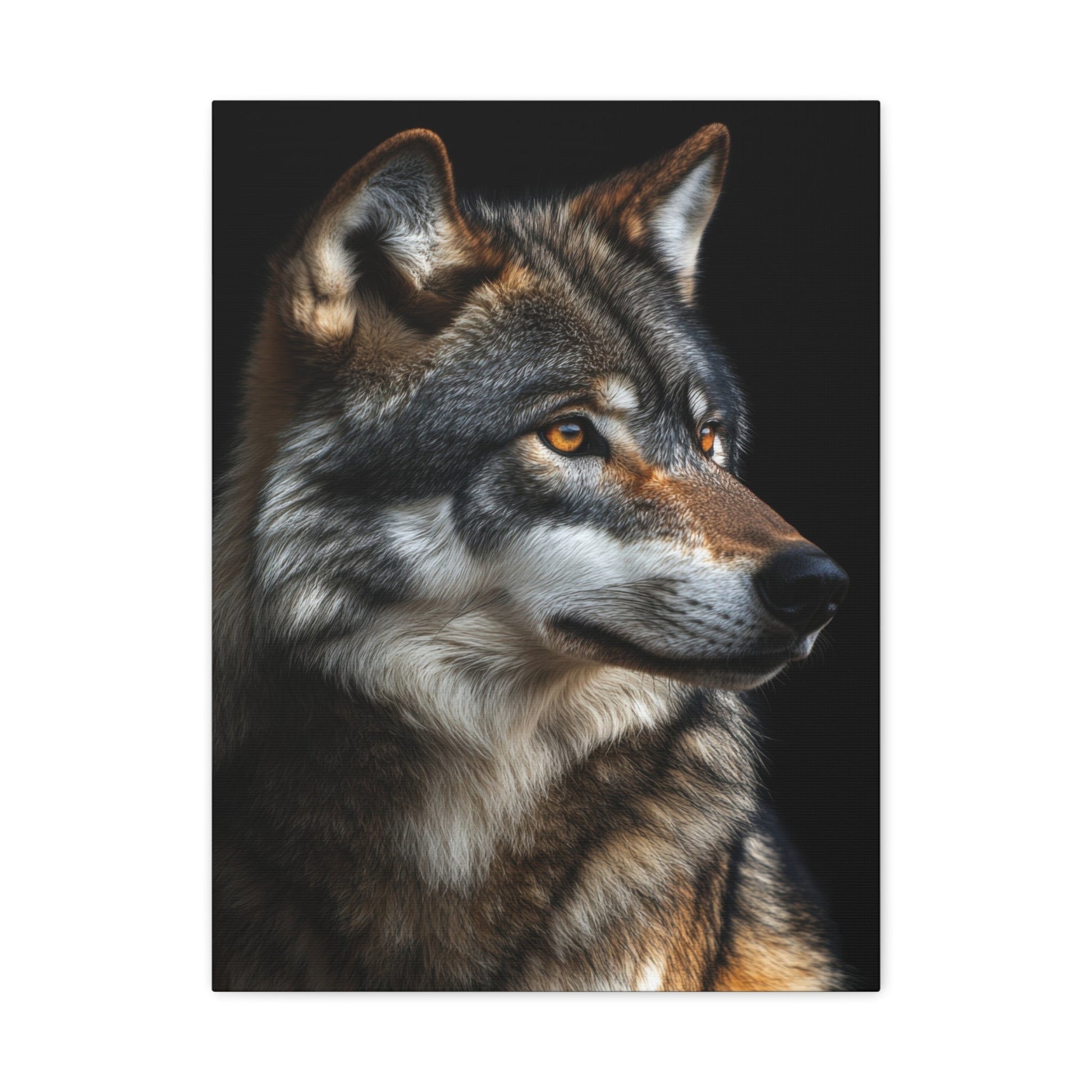 Noble Wolf Stare - Wildlife Wall Art - Aestheticanvas