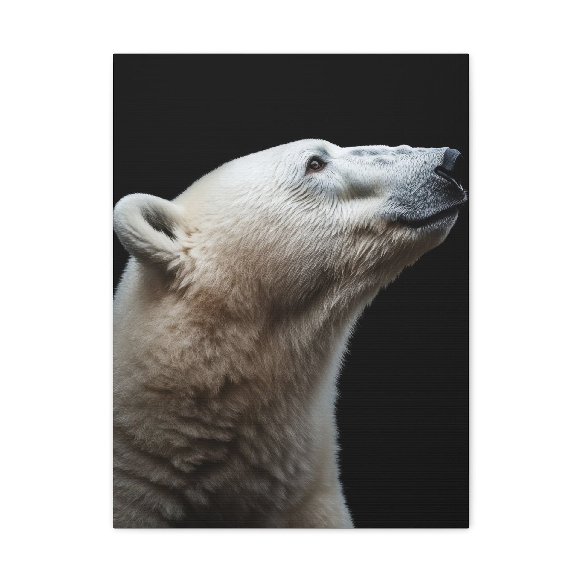 Polar Majesty - Wildlife Wall Art - Aestheticanvas