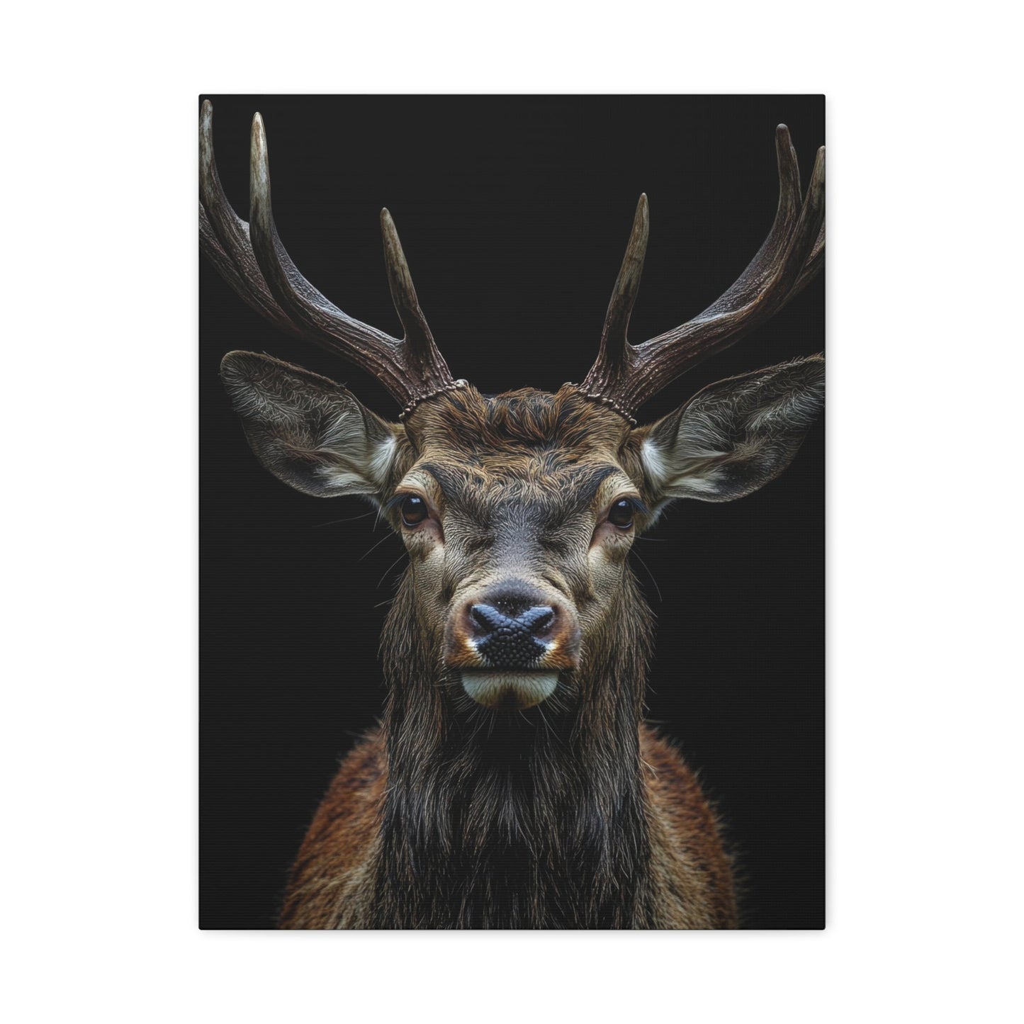 Regal Stag - Wildlife Wall Art - Aestheticanvas