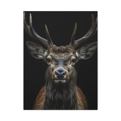 Regal Stag - Wildlife Wall Art - Aestheticanvas