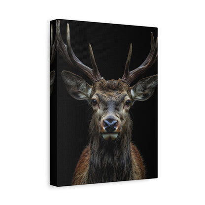 Regal Stag - Wildlife Wall Art - Aestheticanvas