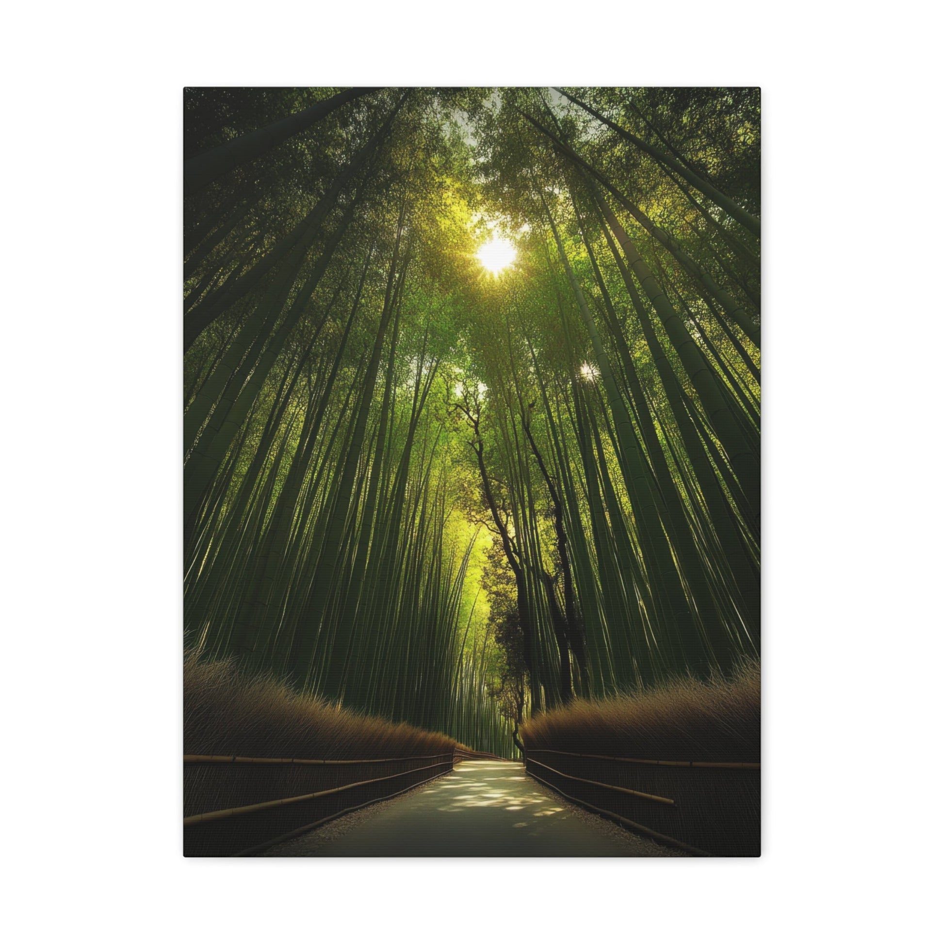 Serene Bamboo Forest Path - Landscape Wall Art - Aestheticanvas