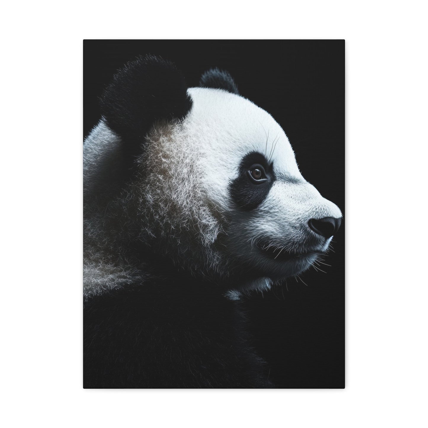 Serene Panda - Wildlife Wall Art - Aestheticanvas