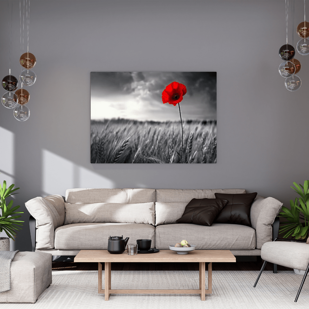 Solitary Red Poppy in Black and White Field - Floral Wall Art - Aestheticanvas