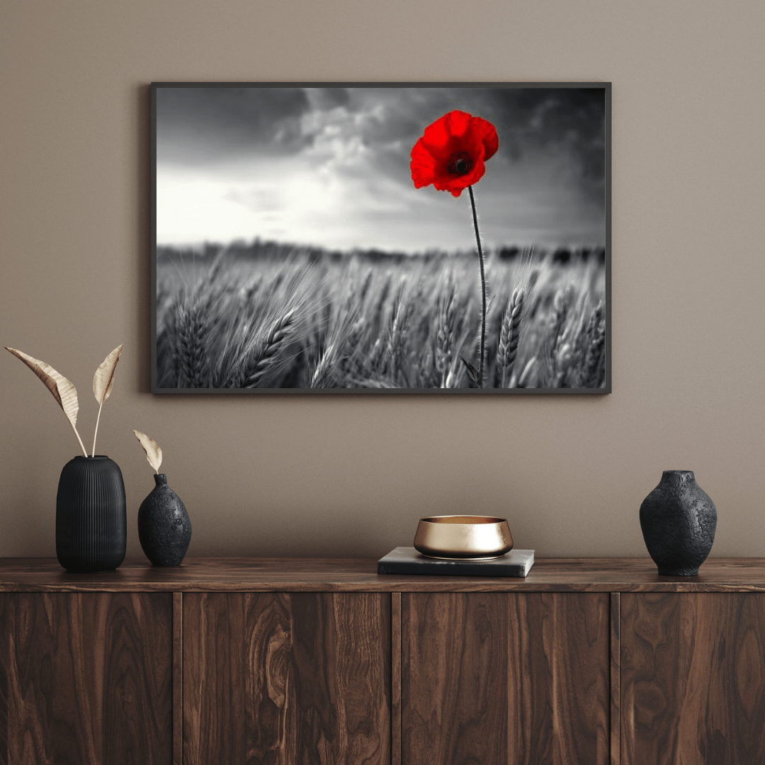 Solitary Red Poppy in Black and White Field - Floral Wall Art - Aestheticanvas