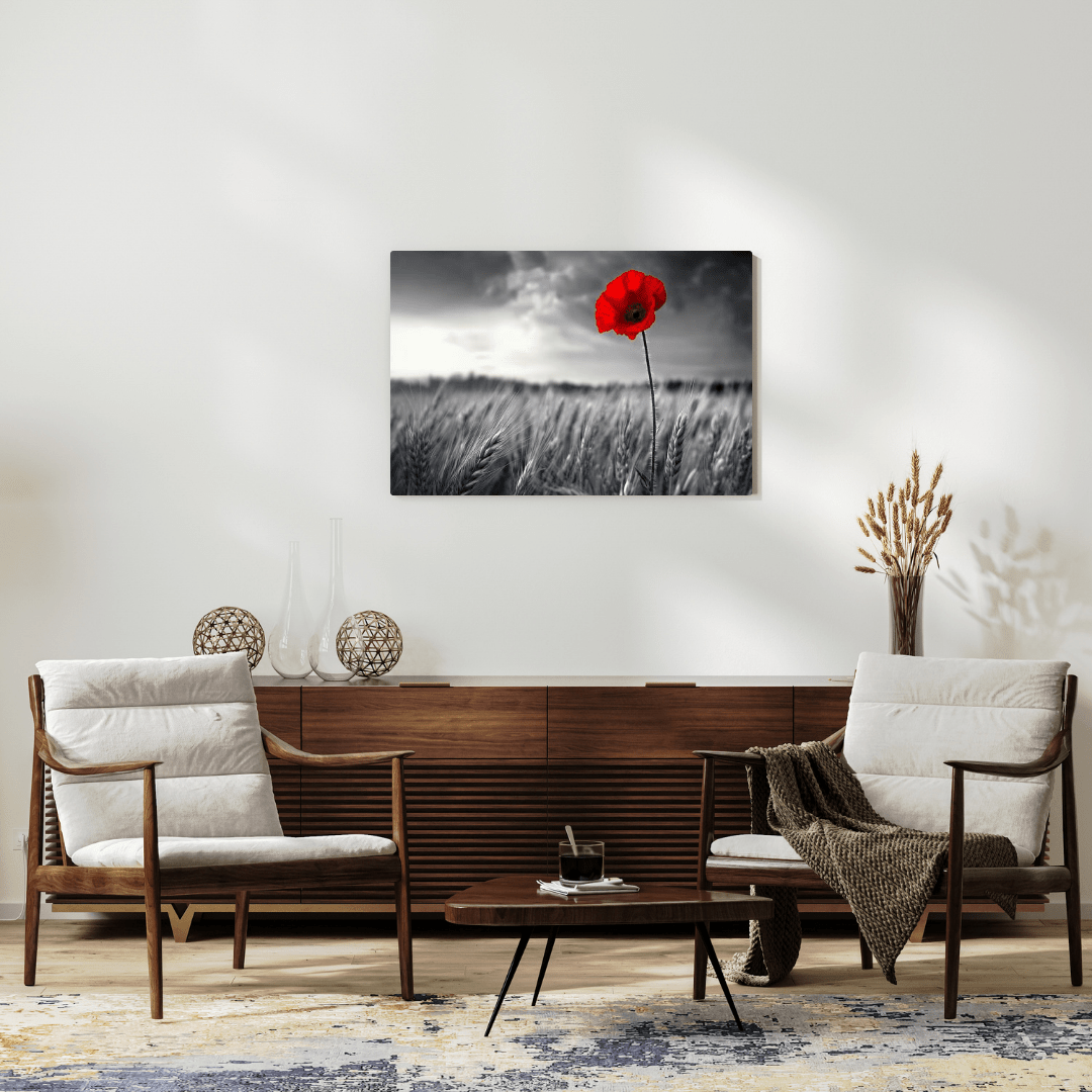 Solitary Red Poppy in Black and White Field - Floral Wall Art - Aestheticanvas