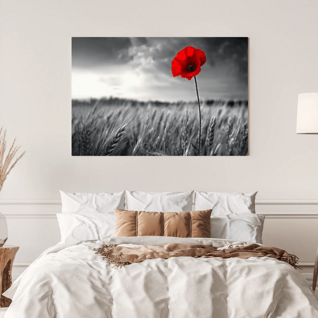 Solitary Red Poppy in Black and White Field - Floral Wall Art - Aestheticanvas