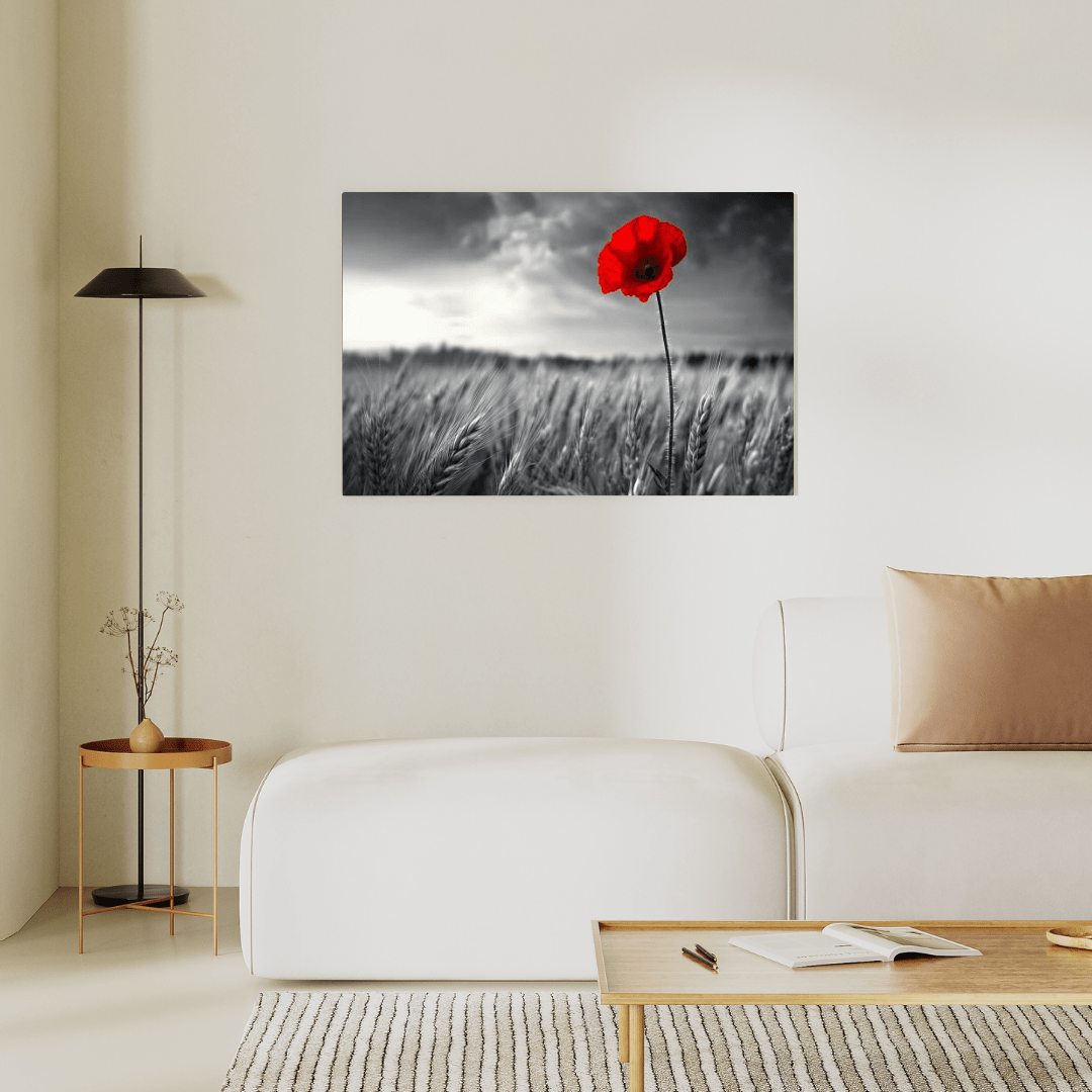 Solitary Red Poppy in Black and White Field - Floral Wall Art - Aestheticanvas