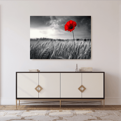 Solitary Red Poppy in Black and White Field - Floral Wall Art - Aestheticanvas