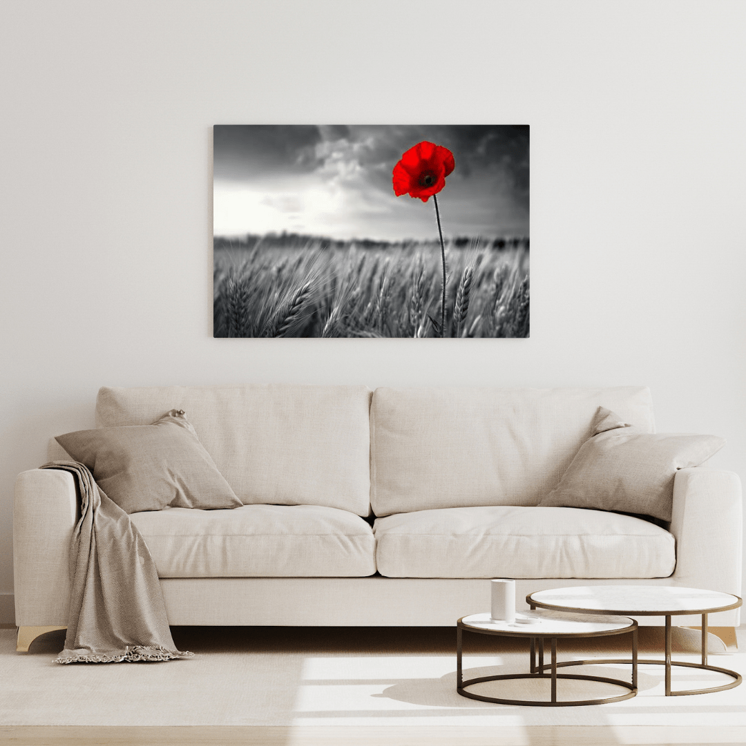 Solitary Red Poppy in Black and White Field - Floral Wall Art - Aestheticanvas