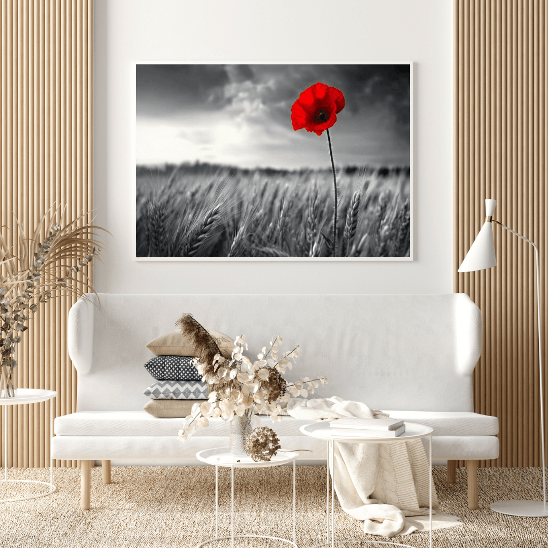 Solitary Red Poppy in Black and White Field - Floral Wall Art - Aestheticanvas