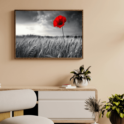 Solitary Red Poppy in Black and White Field - Floral Wall Art - Aestheticanvas