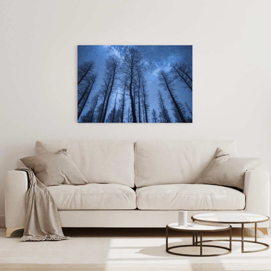 Starry Forest Night Sky - Landscape Wall Art - Aestheticanvas