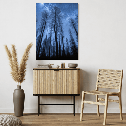 Starry Forest Night Sky - Landscape Wall Art - Aestheticanvas