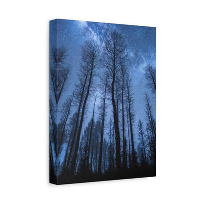 Starry Forest Night Sky - Landscape Wall Art - Aestheticanvas