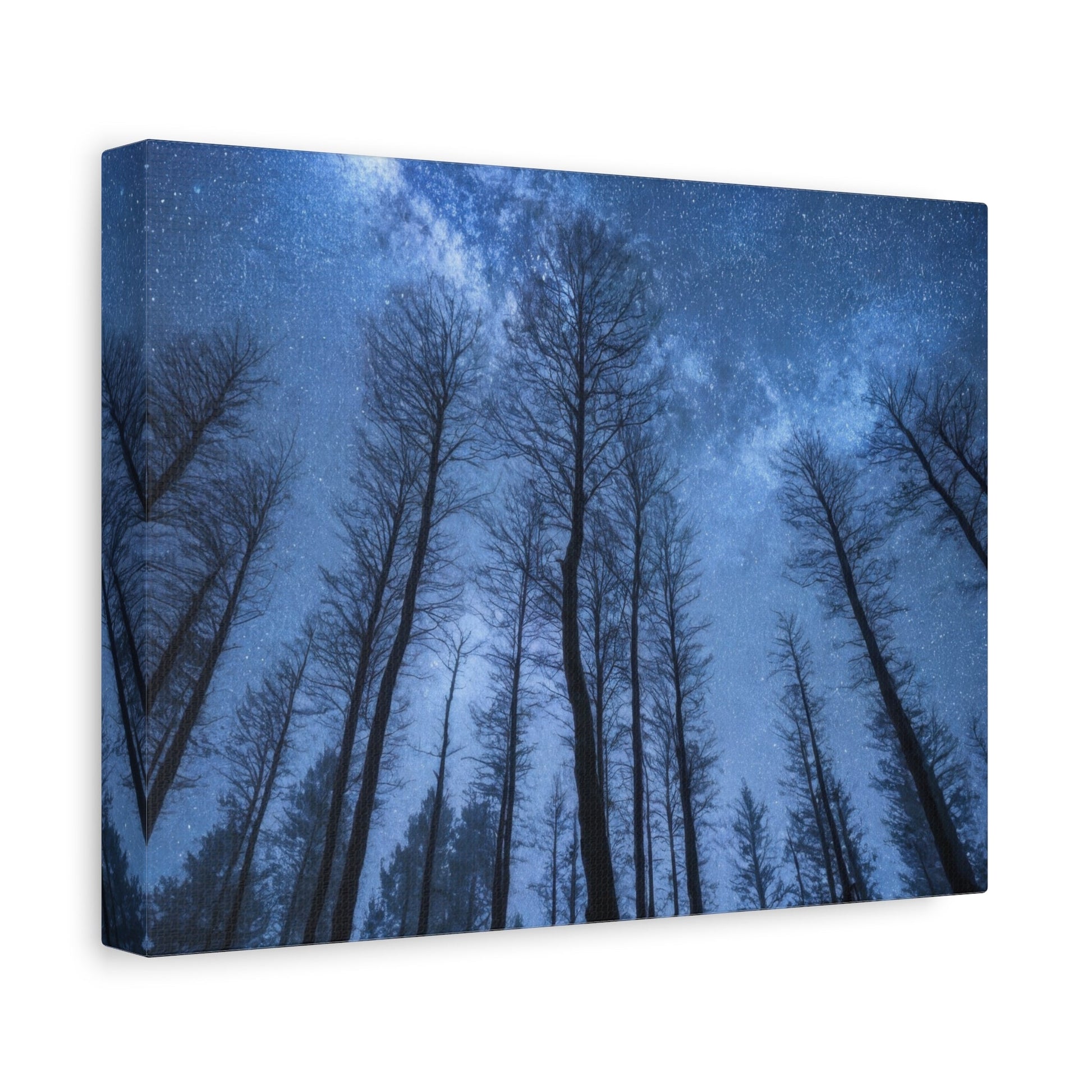 Starry Forest Night Sky - Landscape Wall Art - Aestheticanvas