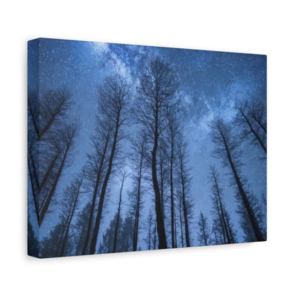 Starry Forest Night Sky - Landscape Wall Art - Aestheticanvas