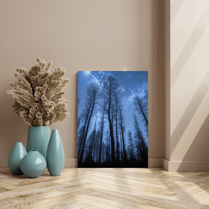 Starry Forest Night Sky - Landscape Wall Art - Aestheticanvas