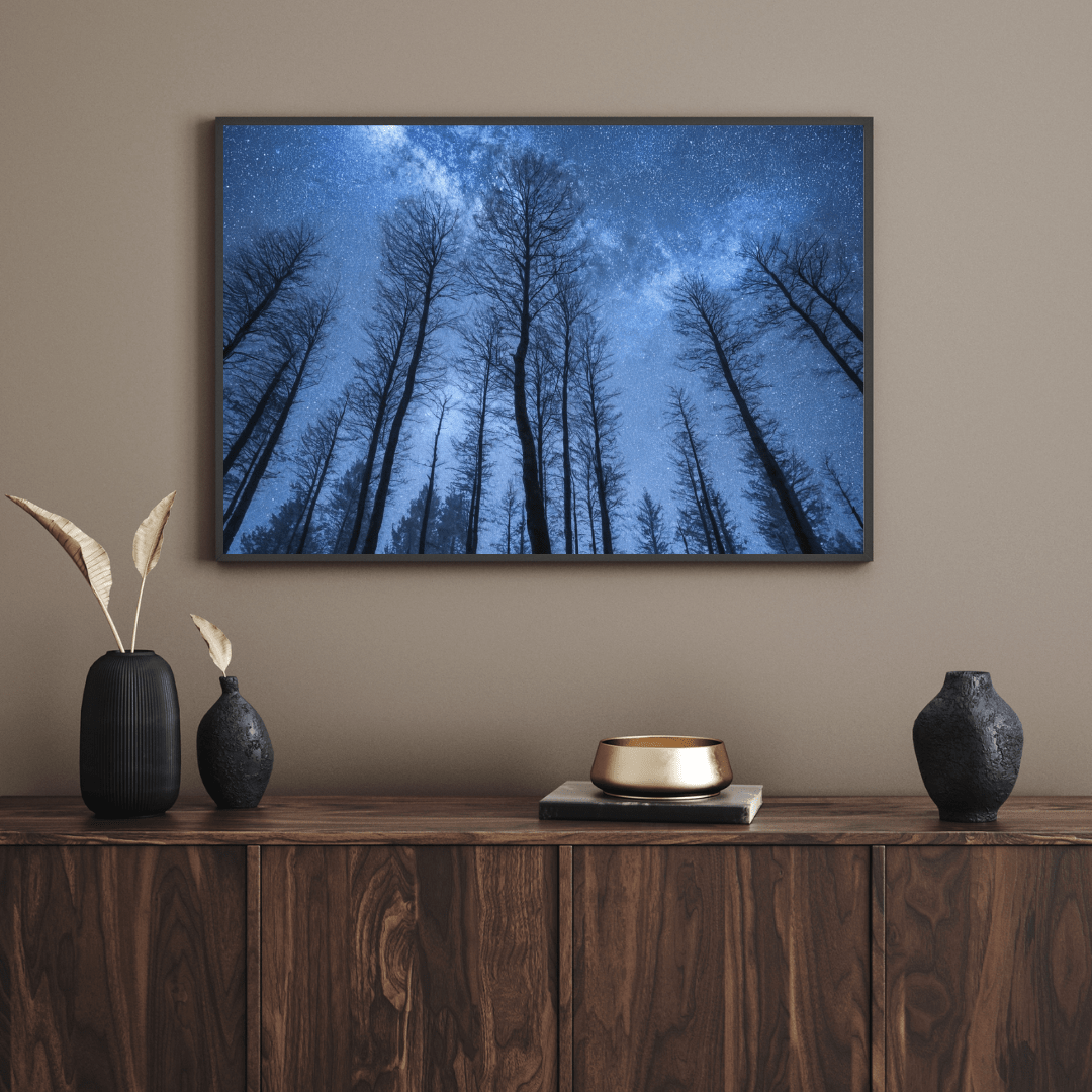 Starry Forest Night Sky - Landscape Wall Art - Aestheticanvas