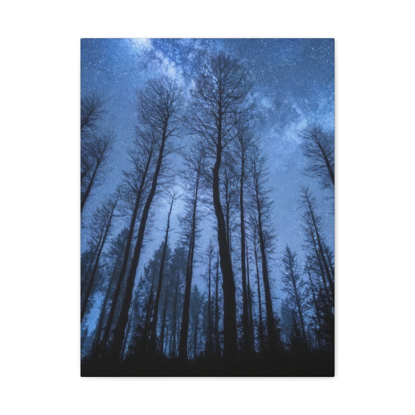 Starry Forest Night Sky - Landscape Wall Art - Aestheticanvas