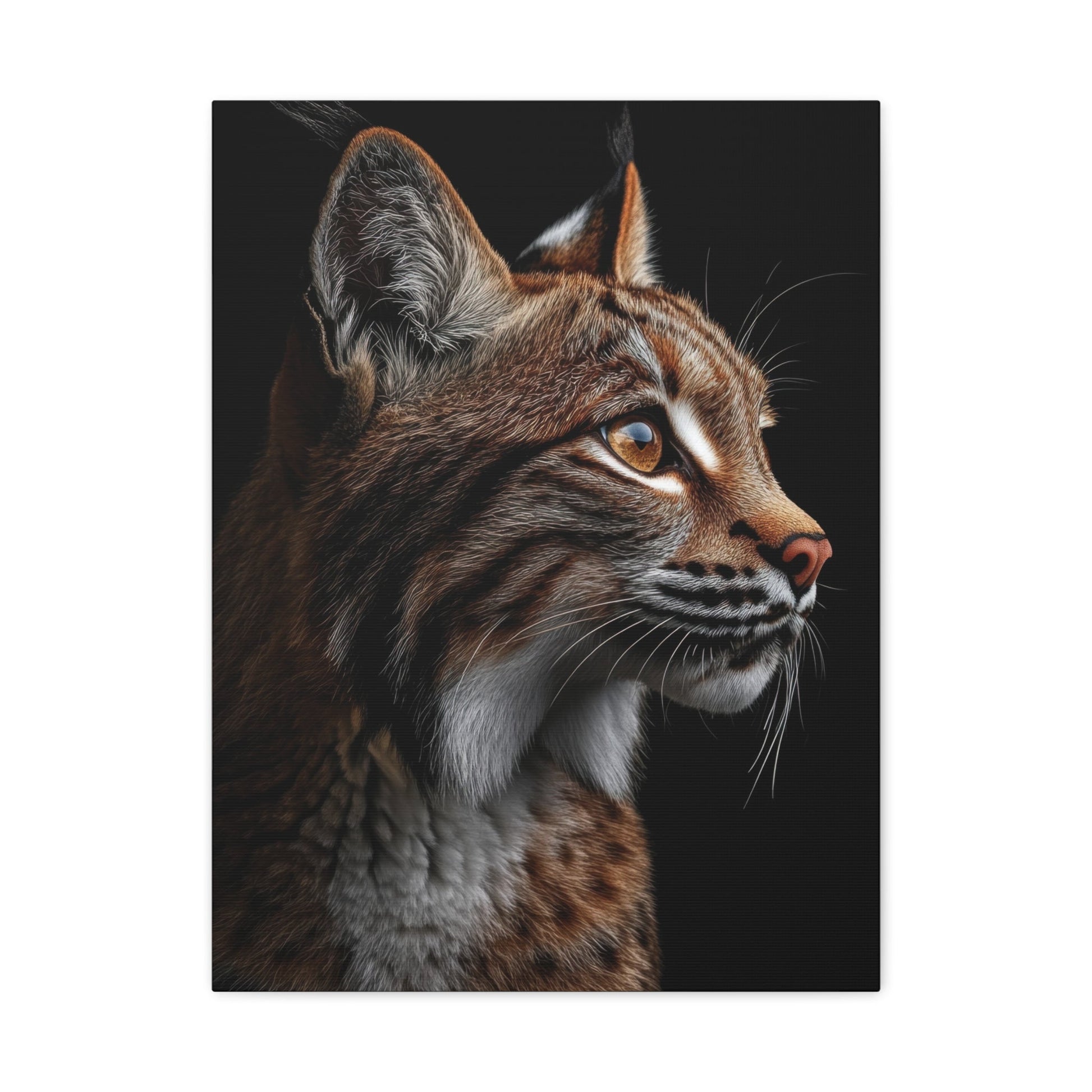 Stealthy Lynx - Wildlife Wall Art - Aestheticanvas